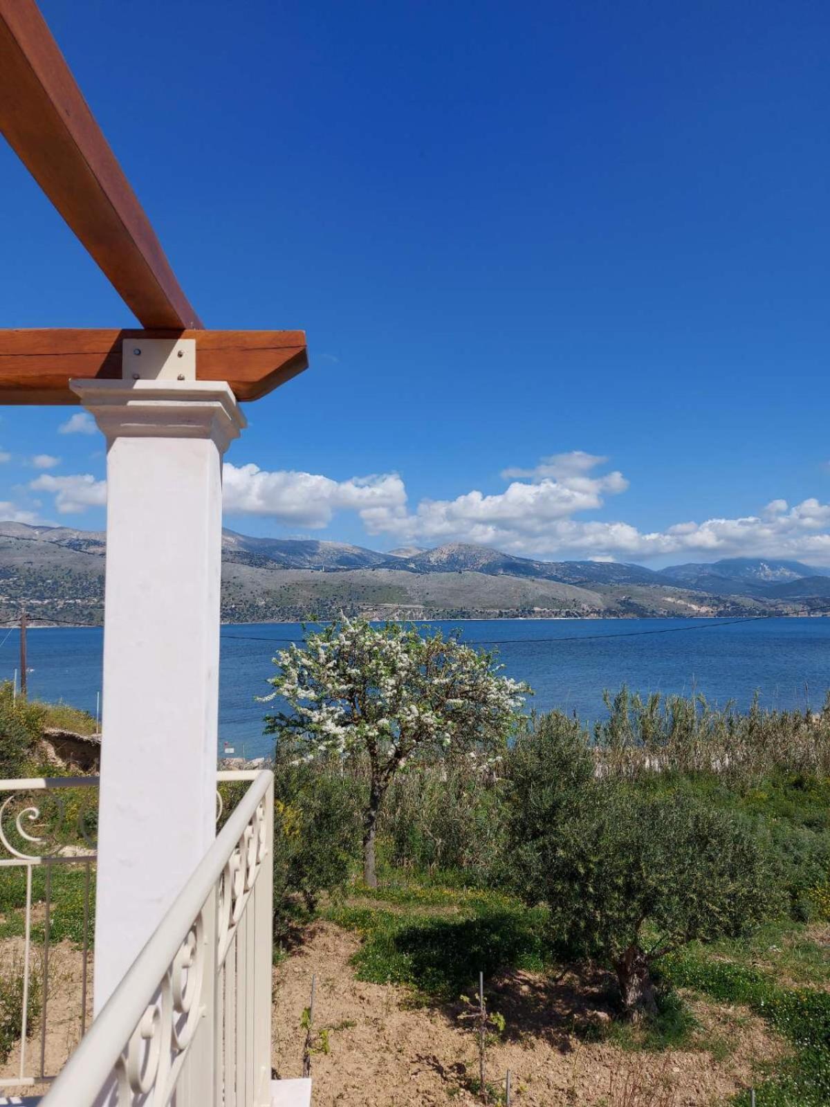 Apollonides Seafront Villa1 Aoede Lixouri Exteriér fotografie