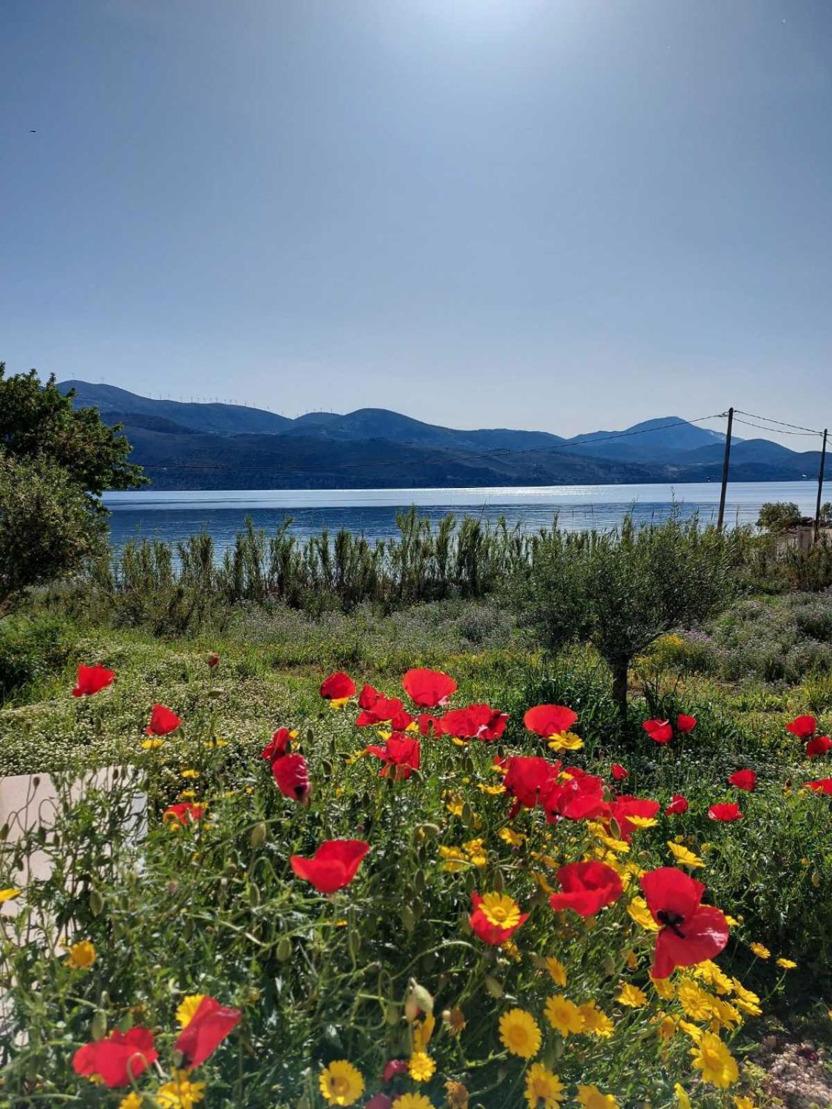 Apollonides Seafront Villa1 Aoede Lixouri Exteriér fotografie